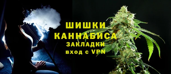 гидра Богородицк