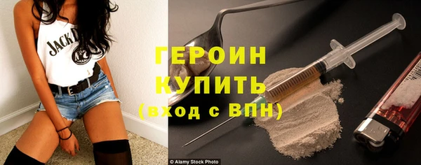 гидра Богородицк