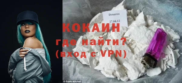 гидра Богородицк