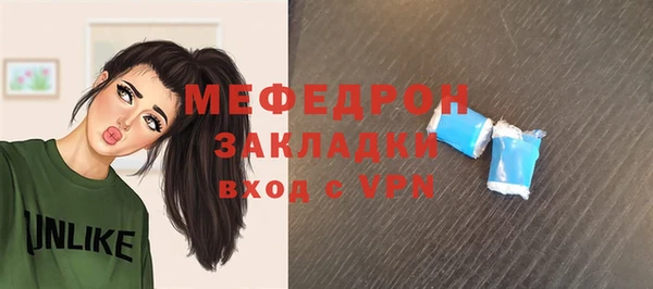 гидра Богородицк
