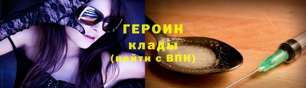 гидра Богородицк