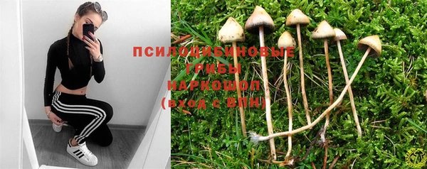 гидра Богородицк