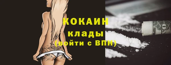 гидра Богородицк
