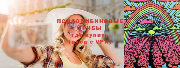 гидра Богородицк