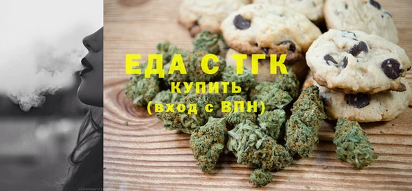 гидра Богородицк