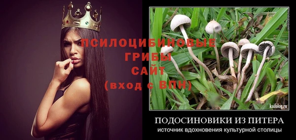 а пвп мука Богданович