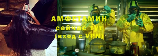 гидра Богородицк
